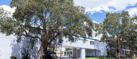 A modern building with a covered entrance and a large tree in front.