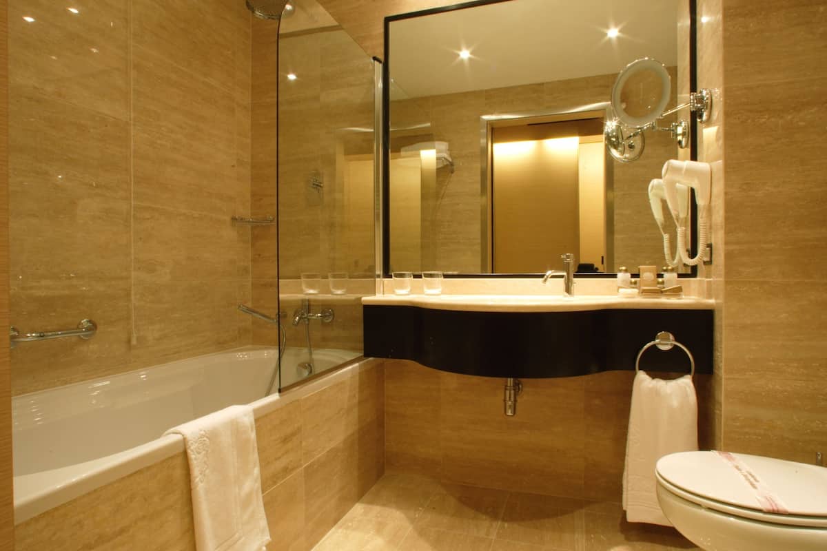 combined shower/bathtub, free toiletries, hair dryer, bidet