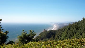Un paysage côtier caractérisé par une forêt dense et une plage.