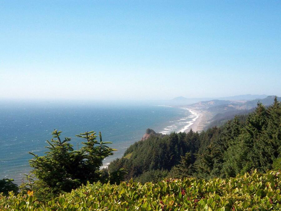 Un paysage côtier caractérisé par une forêt dense et une plage.
