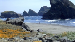 A rocky beach with large boulders and a person walking.