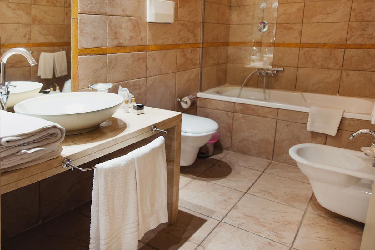 rainfall showerhead, free toiletries, hair dryer, bidet