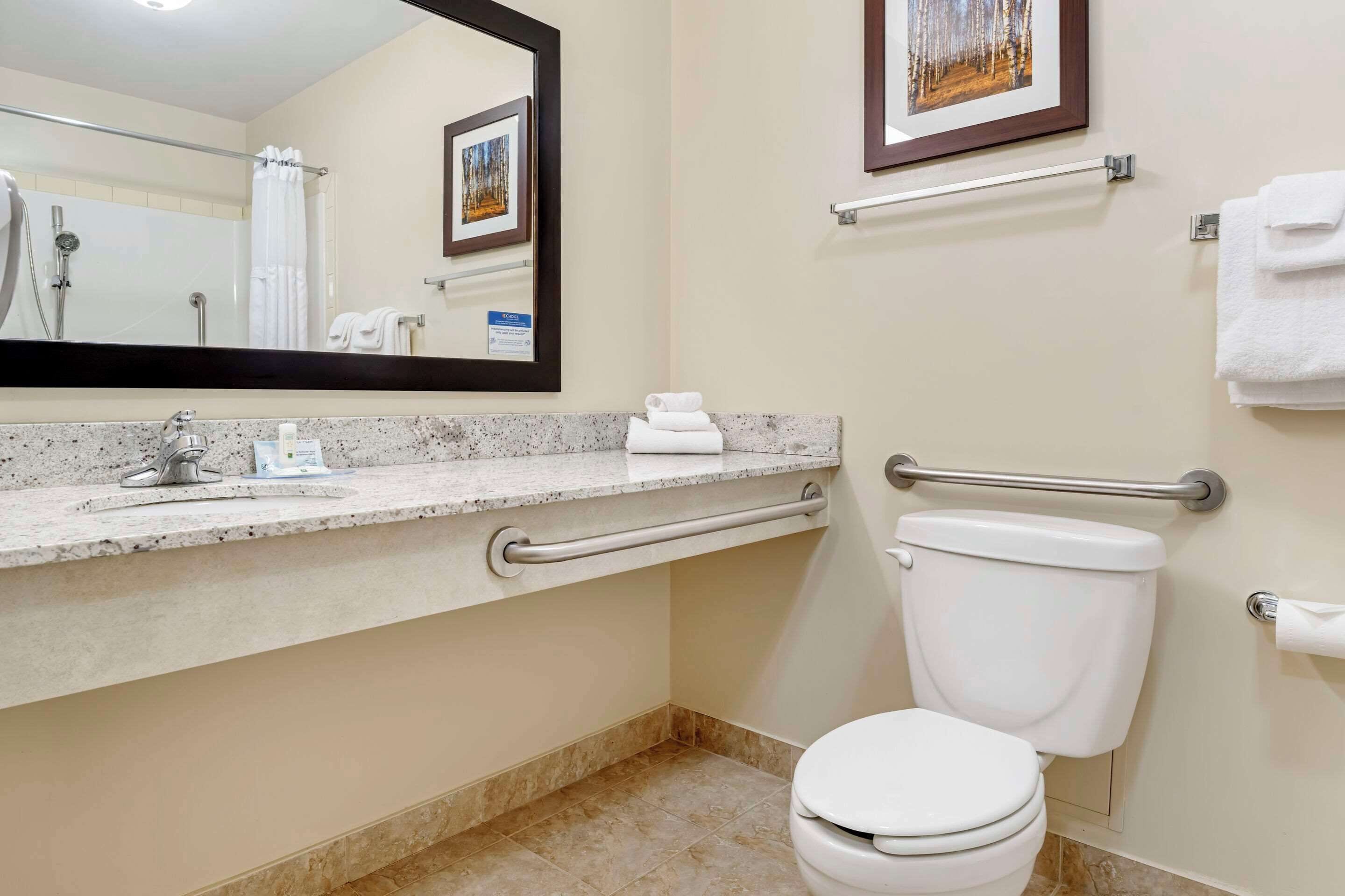 Ein Badezimmer mit Toilette, einem Waschbecken mit Haltegriff, einem Handtuchhalter und einem gerahmten Bild an der Wand.