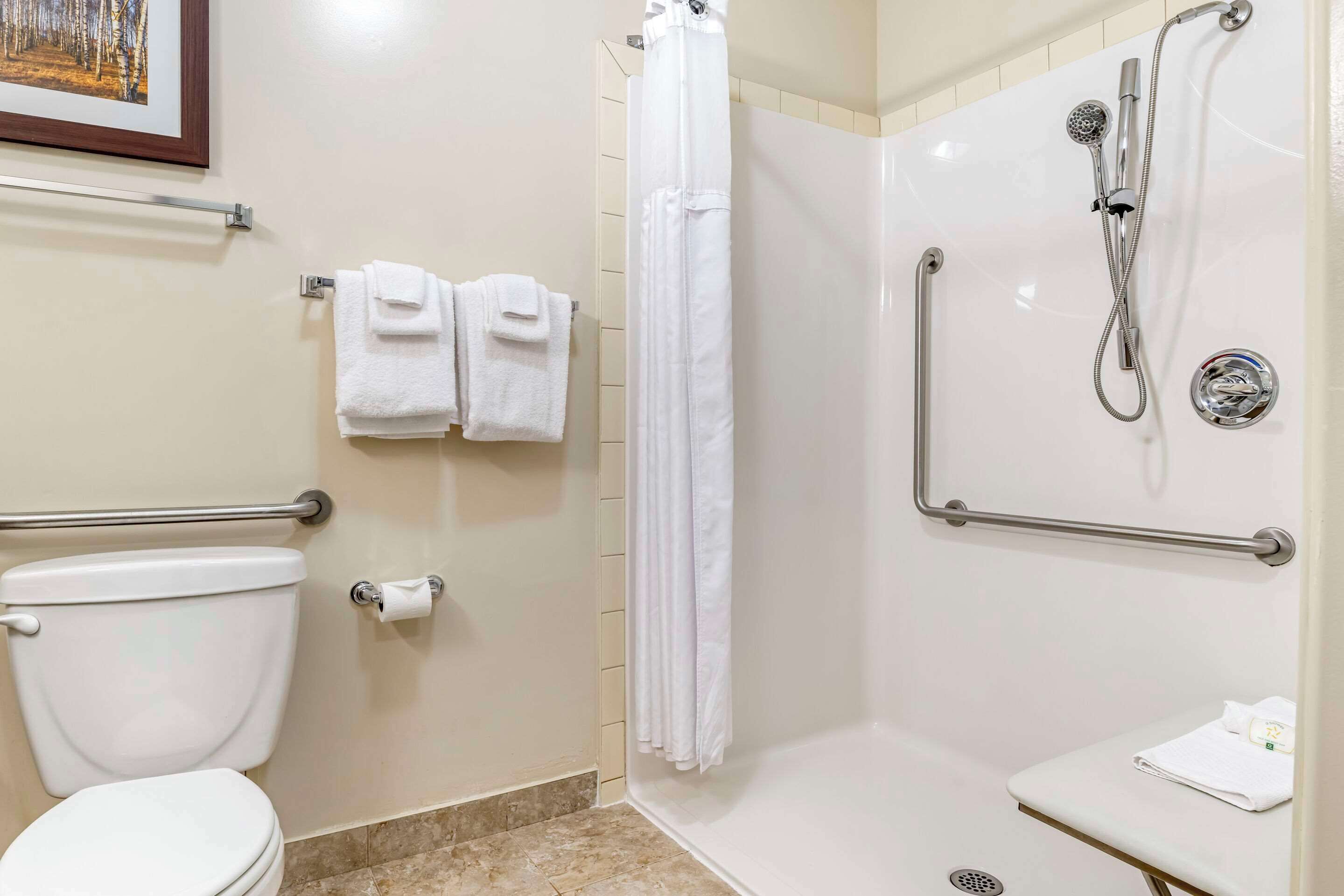 A bathroom with a toilet, a shower with a handheld showerhead, a grab bar, and a towel rack with towels.