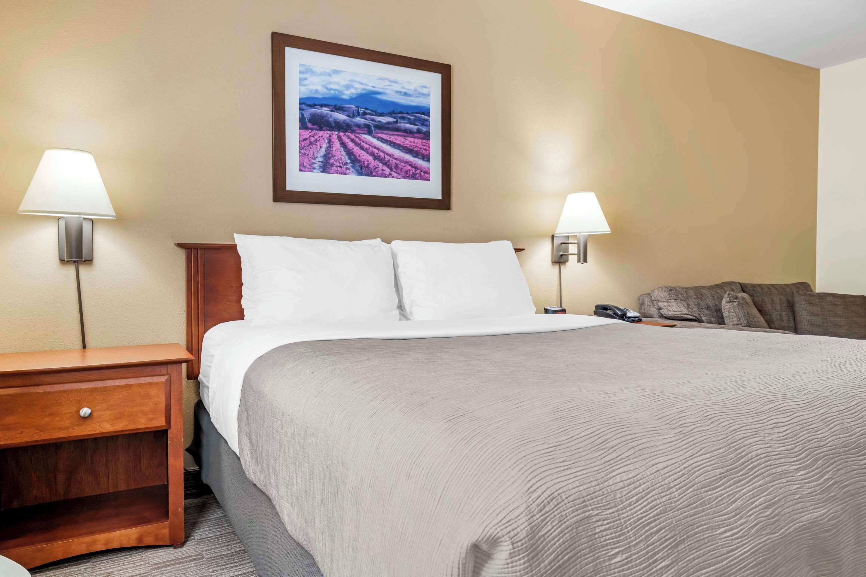 A hotel room with a bed, two bedside tables, a lamp, a framed picture on the wall, and a couch.