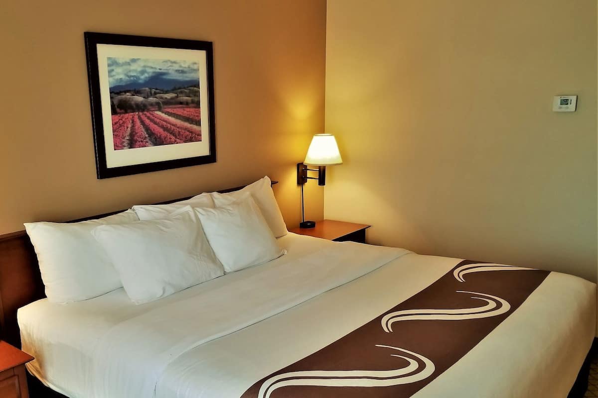 Pillowtop beds, blackout drapes, iron/ironing board