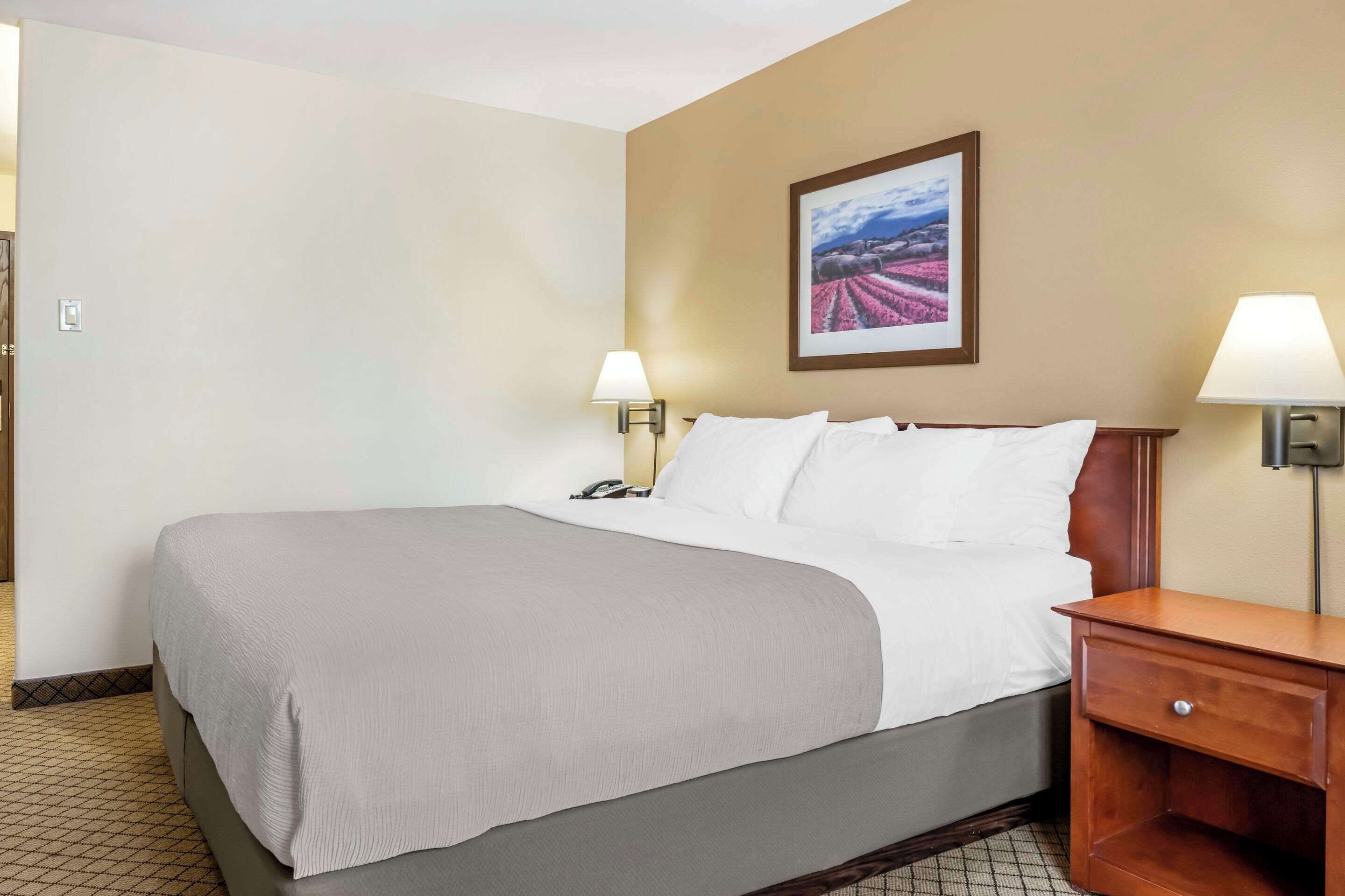 A hotel room with a bed, two bedside lamps, a nightstand, and a framed picture on the wall.