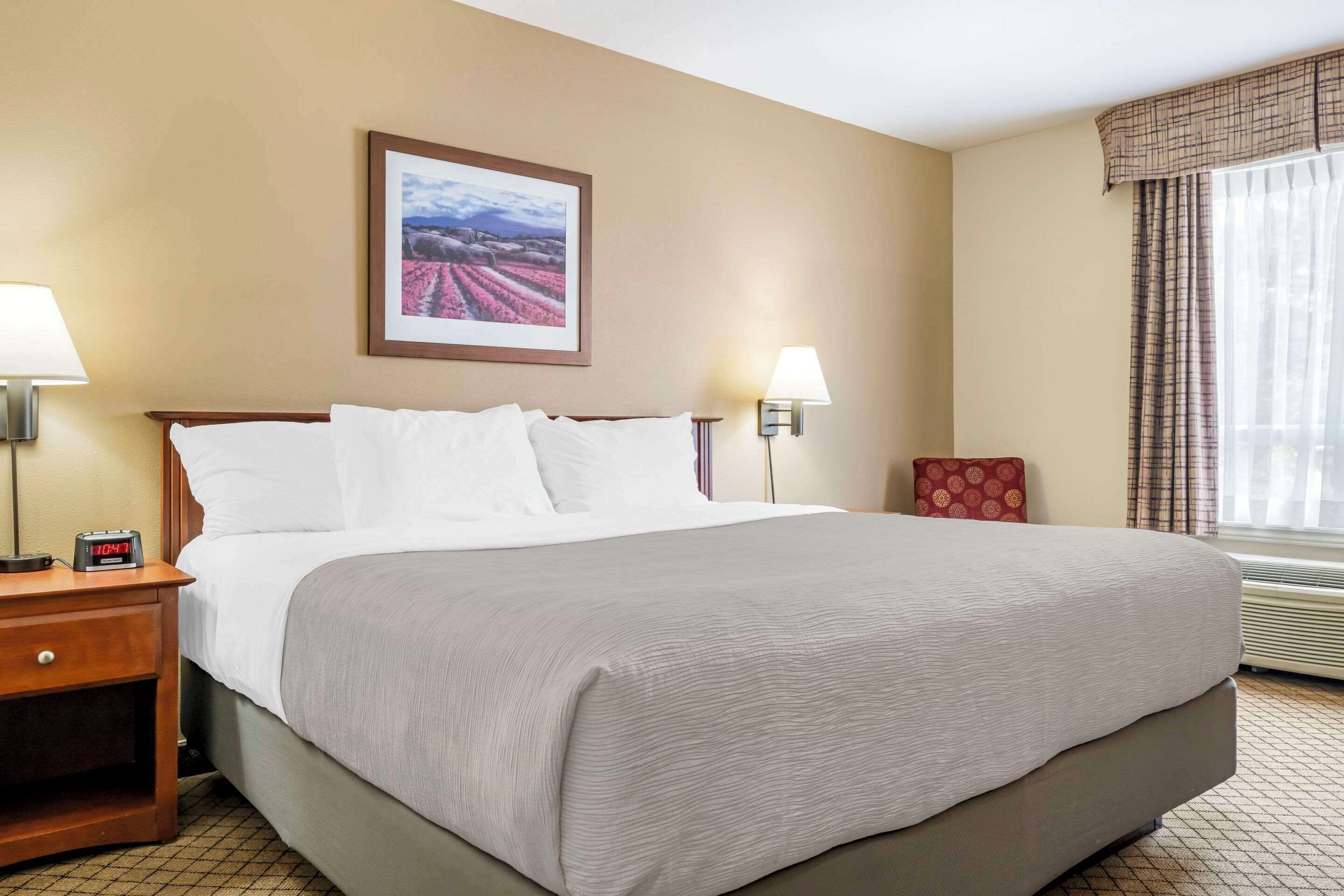 Standard Room, 1 King Bed, Non Smoking | Pillow-top beds, blackout curtains, iron/ironing board