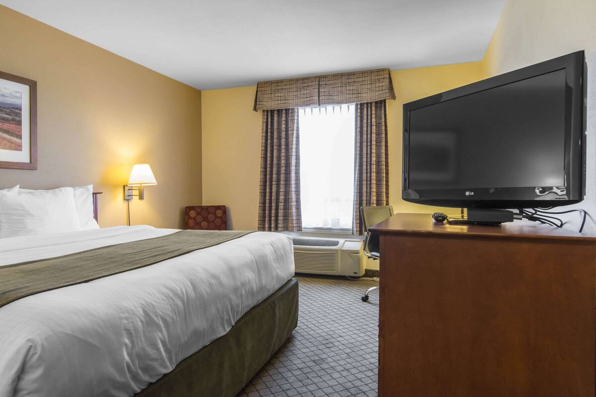A hotel room with a bed, a TV, a lamp, and a window with curtains.