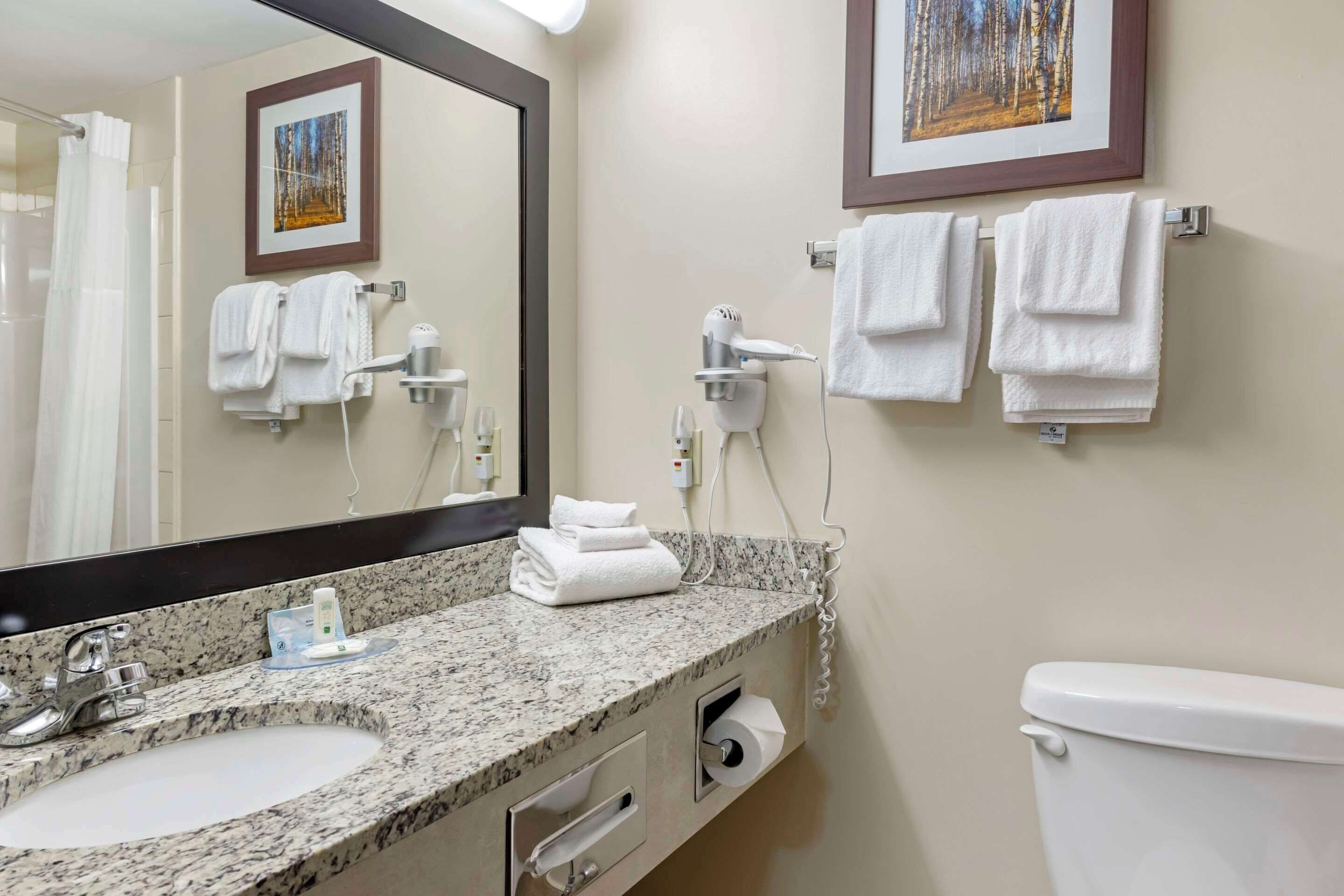 A bathroom with a sink, mirror, towel rack, hairdryer, and toilet.