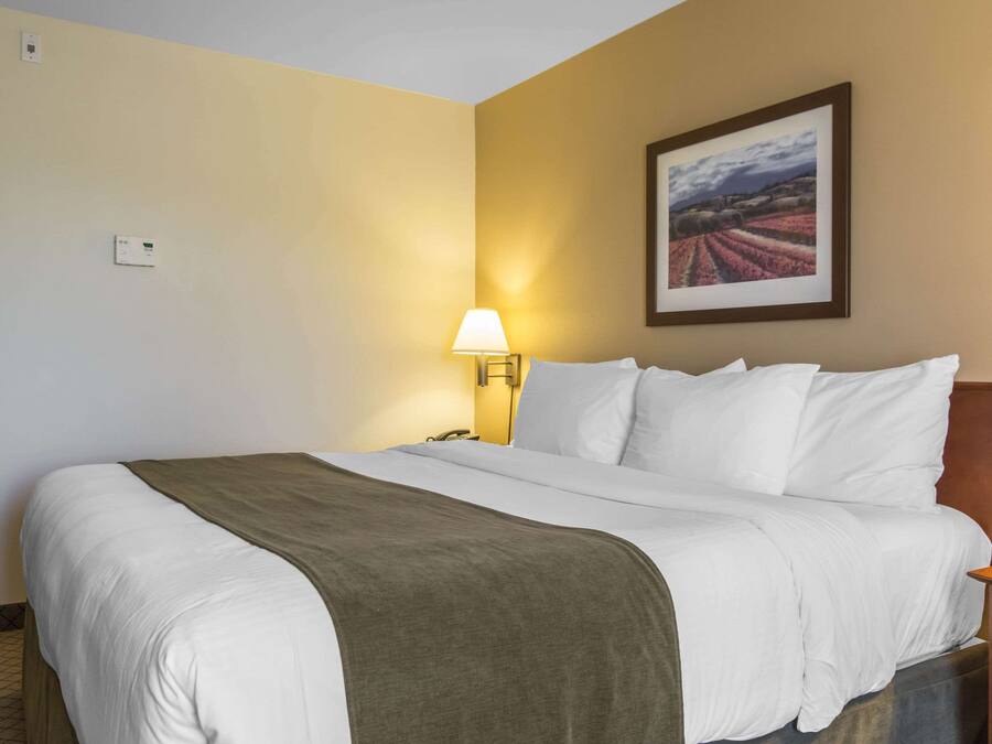 Una habitación de hotel con una cama, una mesita de noche, una lámpara y un cuadro en la pared.