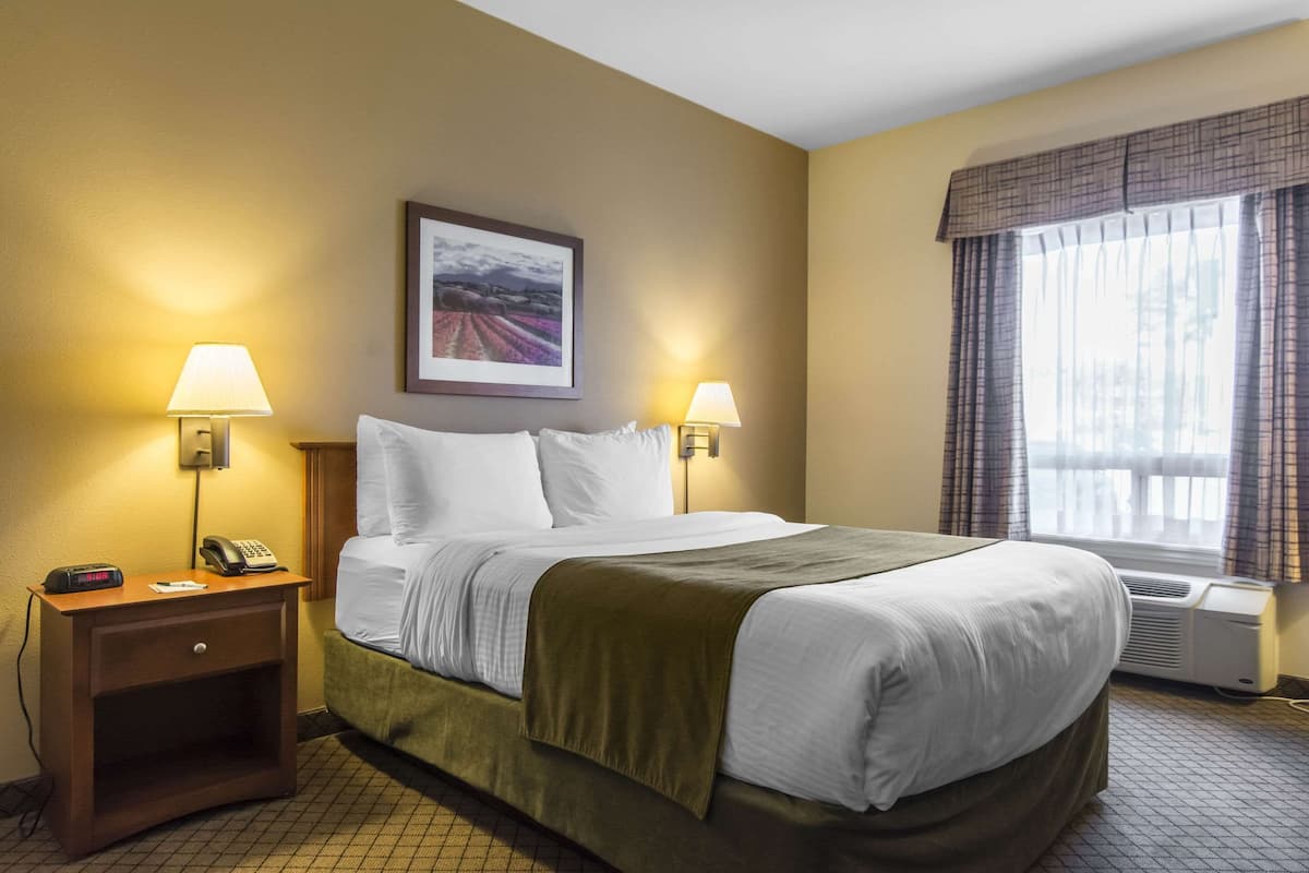 A hotel room with a bed, two bedside lamps, a nightstand with a phone, a picture on the wall, and a window with curtains.