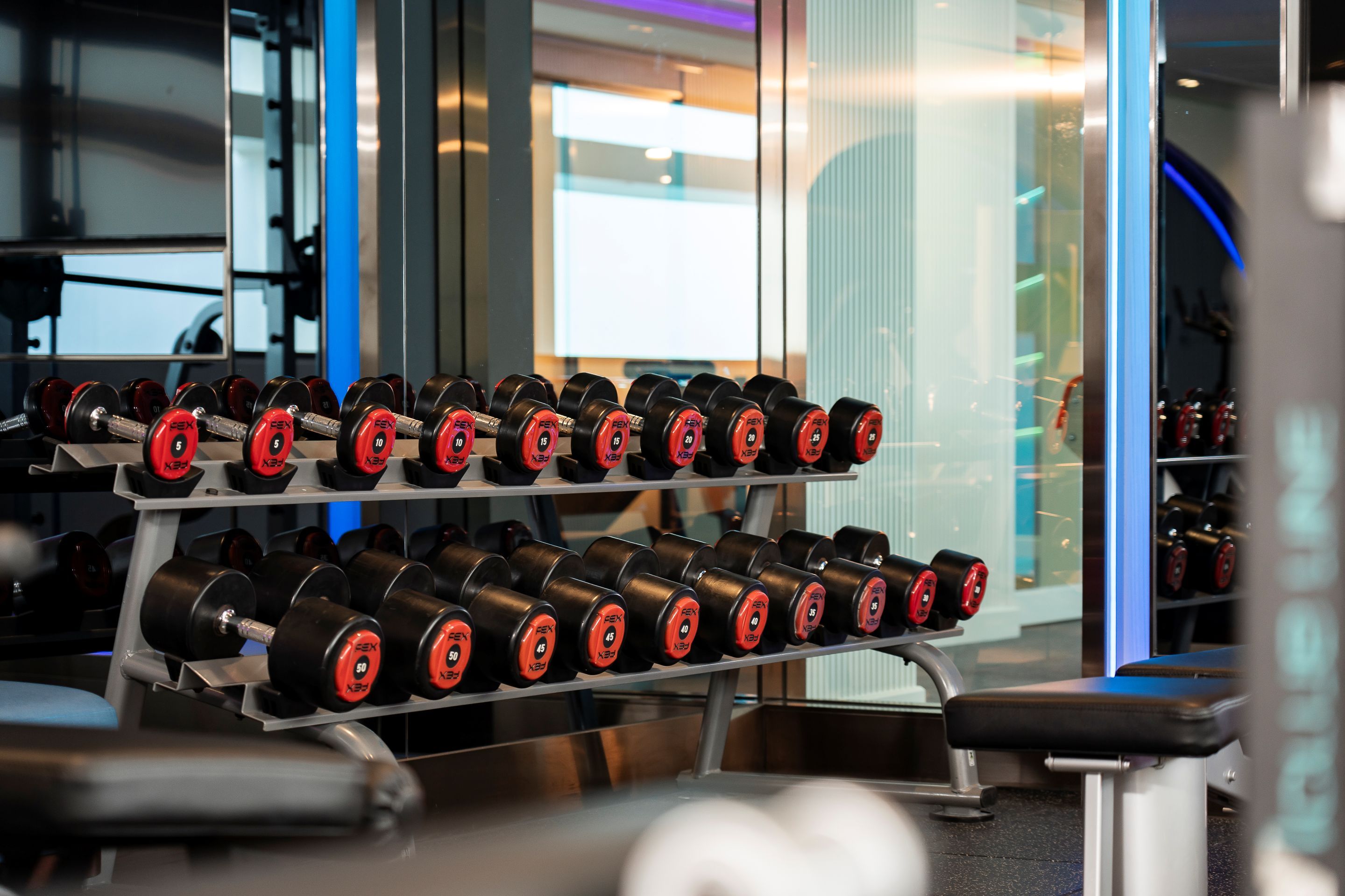 A rack of dumbbells with weights ranging from 5 to 50 lbs.