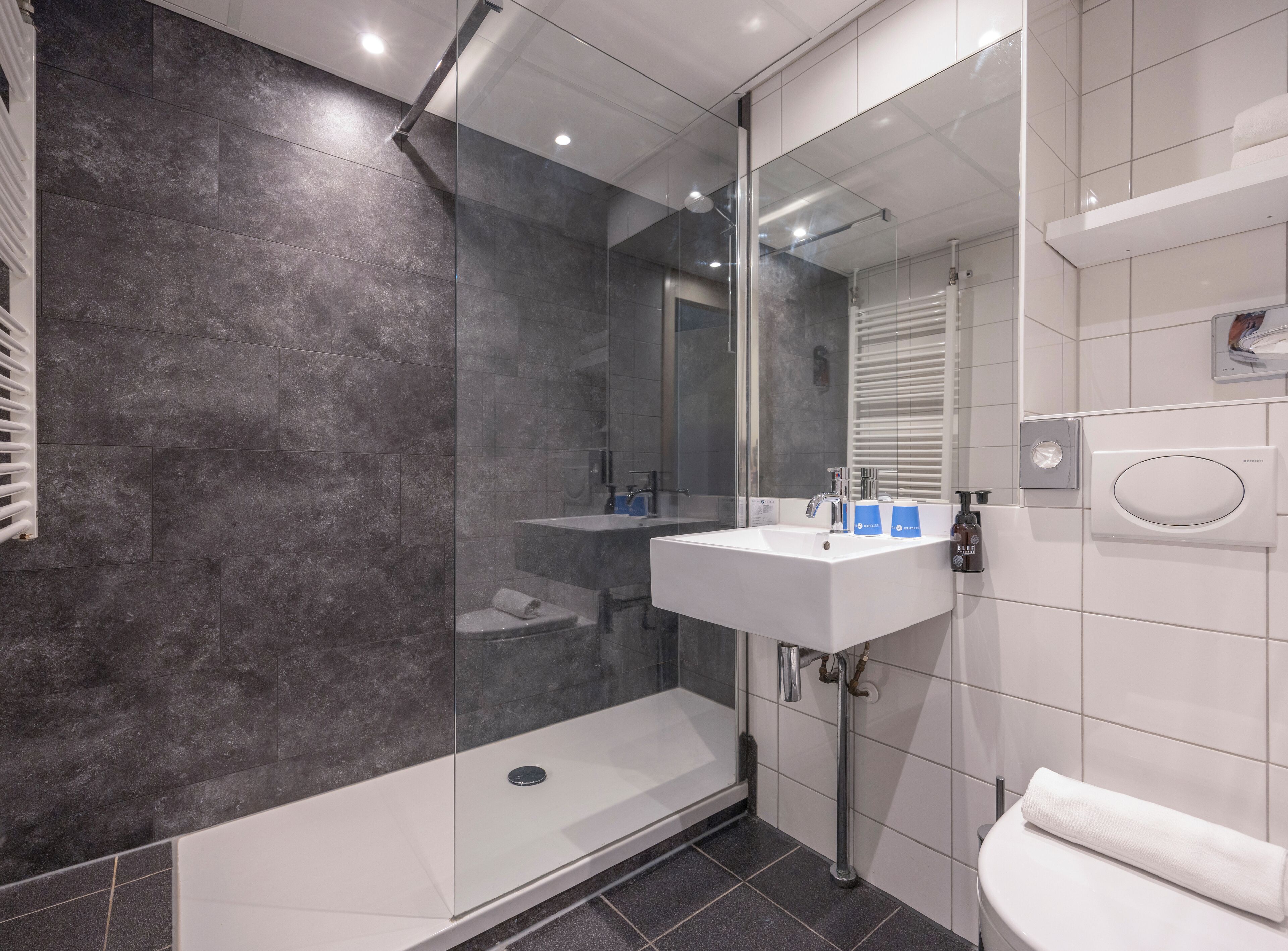 A modern bathroom with a glass shower enclosure, a white sink, and a toilet.