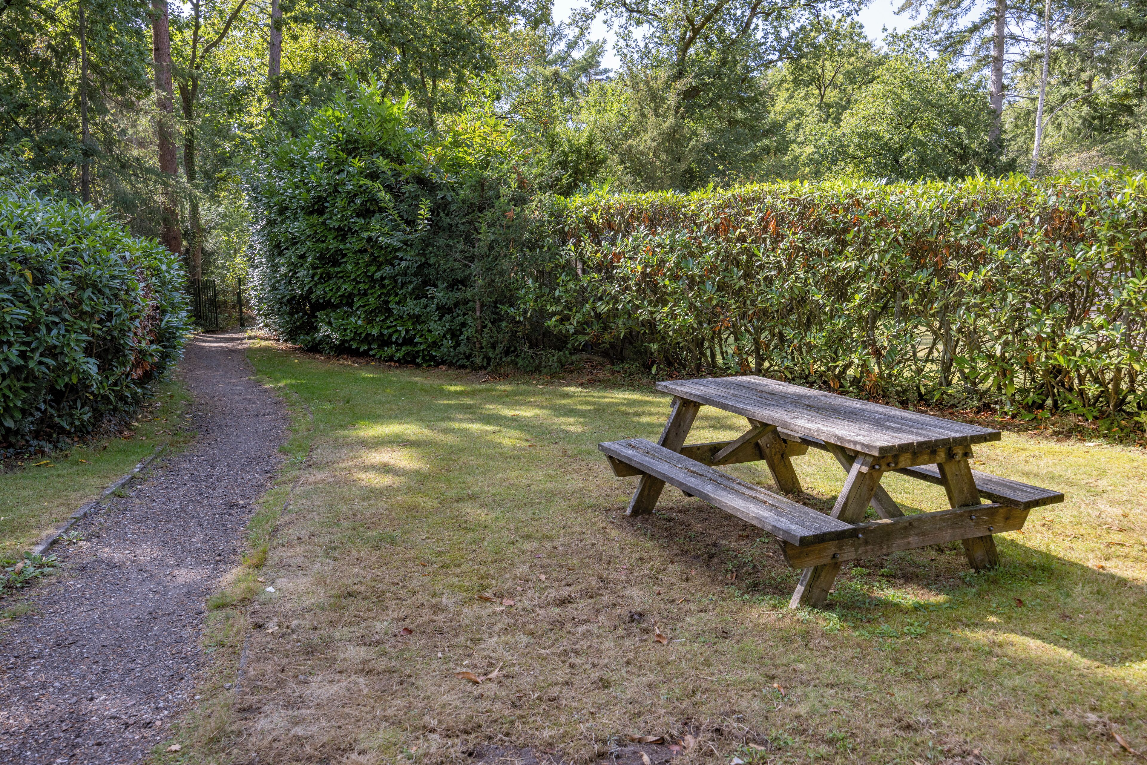 Une table de pique-nique se trouve dans un espace herbeux, avec un chemin de gravier et un feuillage dense en arrière-plan.