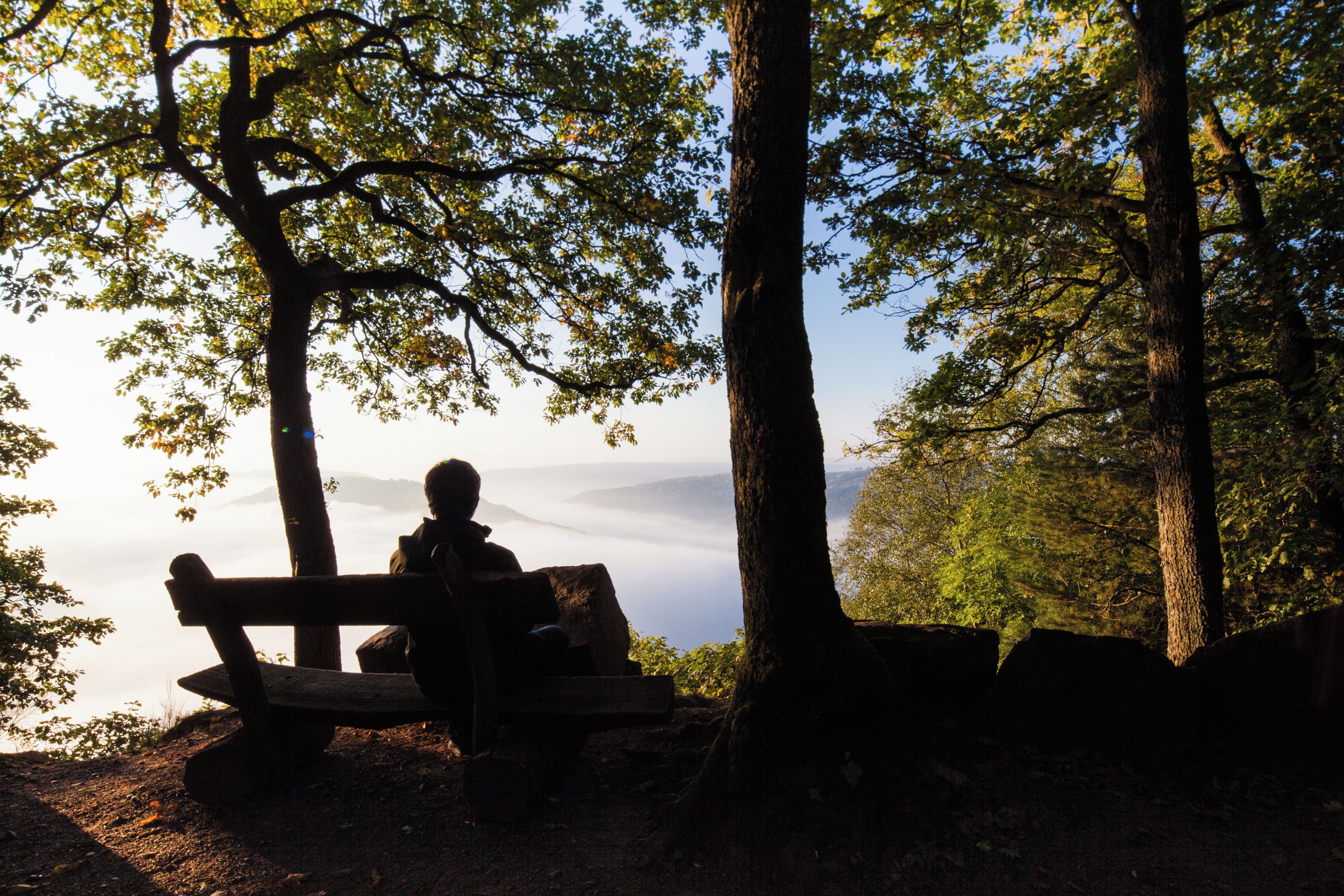Eine Person sitzt auf einer Bank in einem bewaldeten Gebiet mit Bäumen und Blick auf ein Tal.