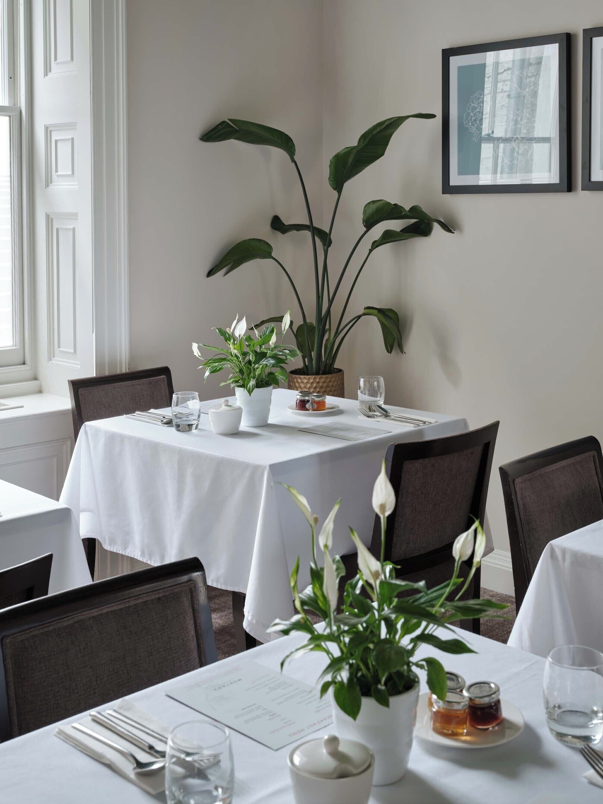 A dining area with tables set for two, featuring white tablecloths, chairs, and a large potted plant.