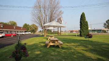 Terrain de basketball