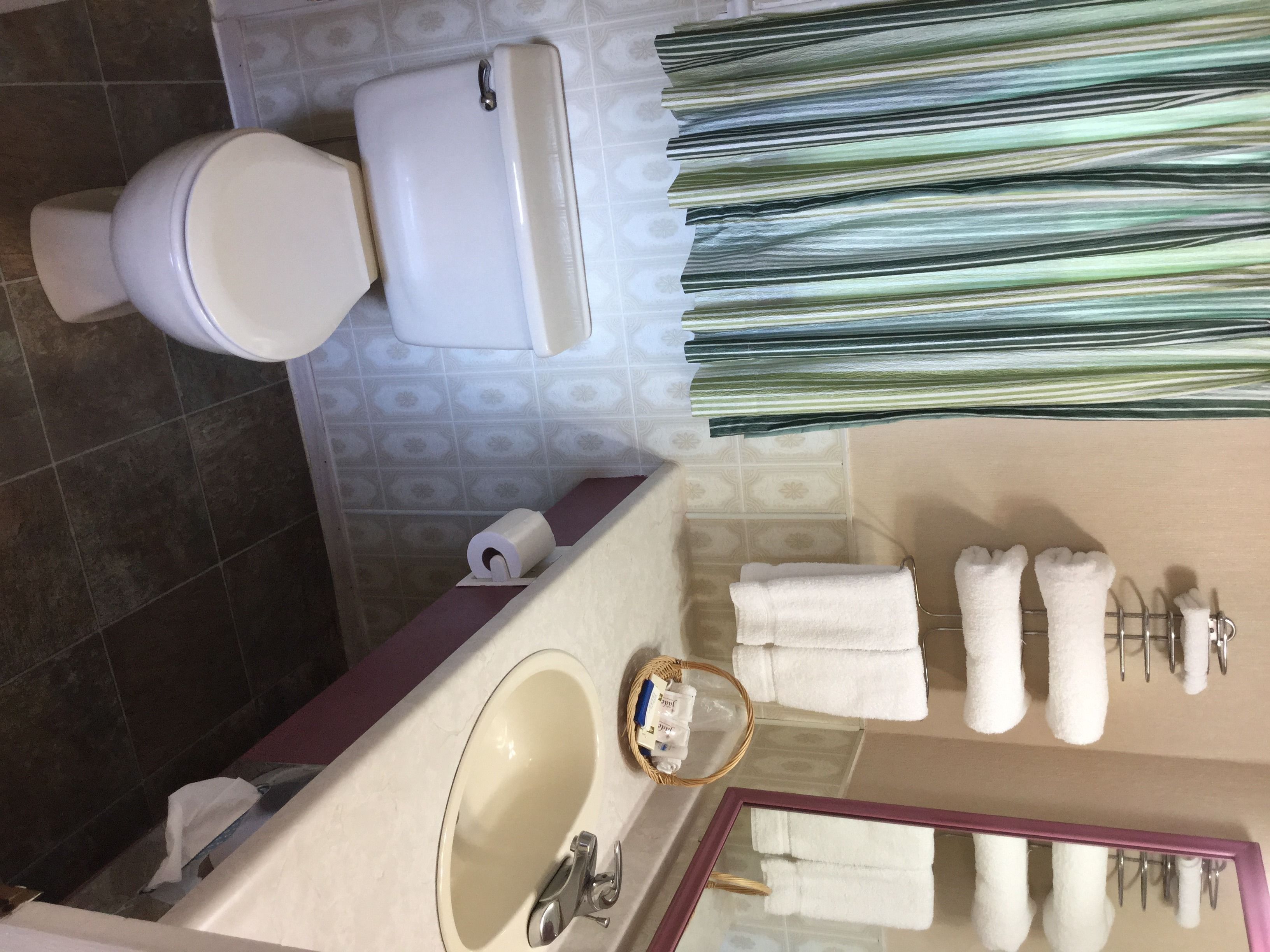 A bathroom with a toilet, sink, and towel rack.