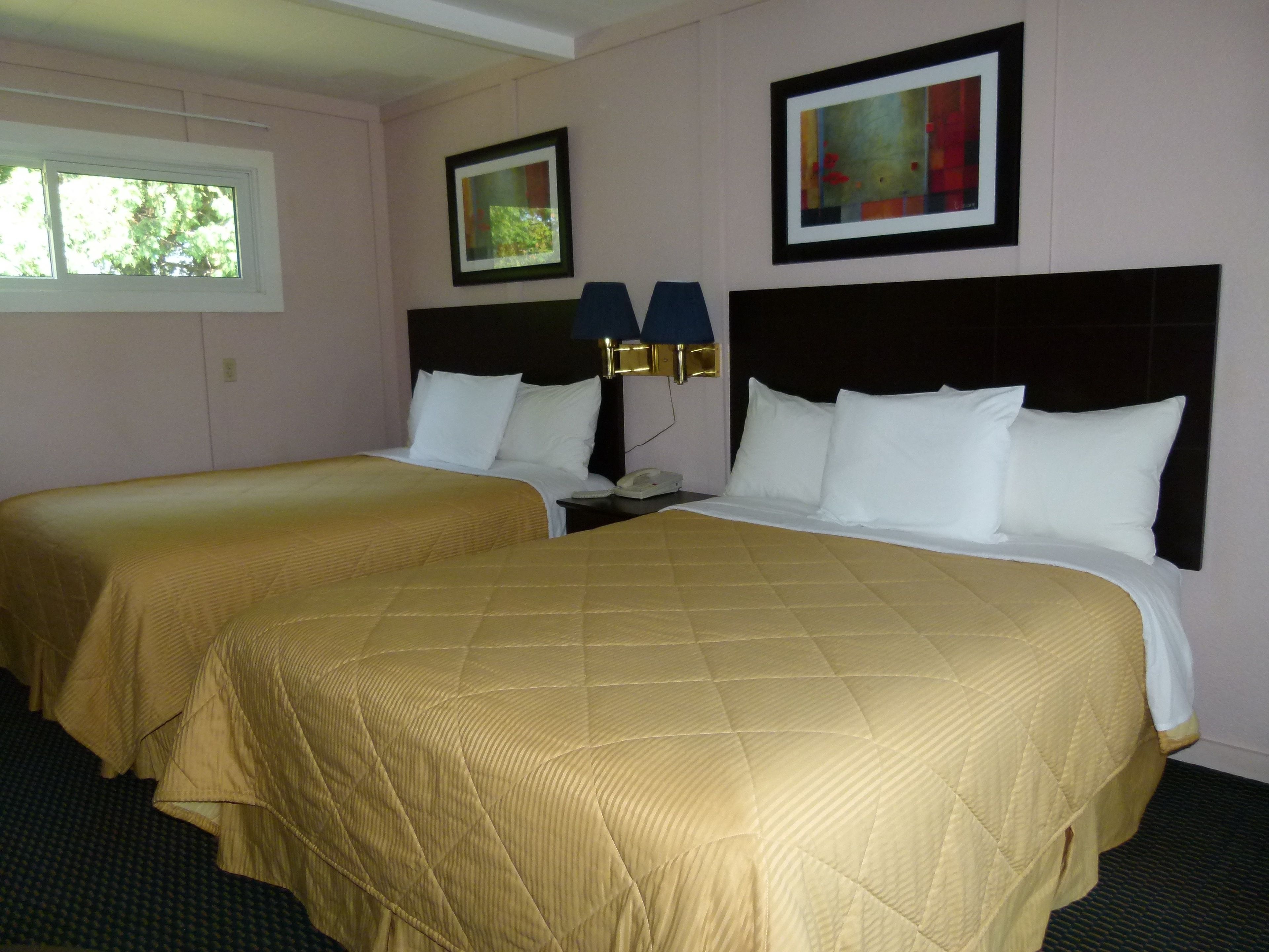 Habitación de hotel con dos camas, una mesita de noche, una lámpara y cuadros en las paredes.