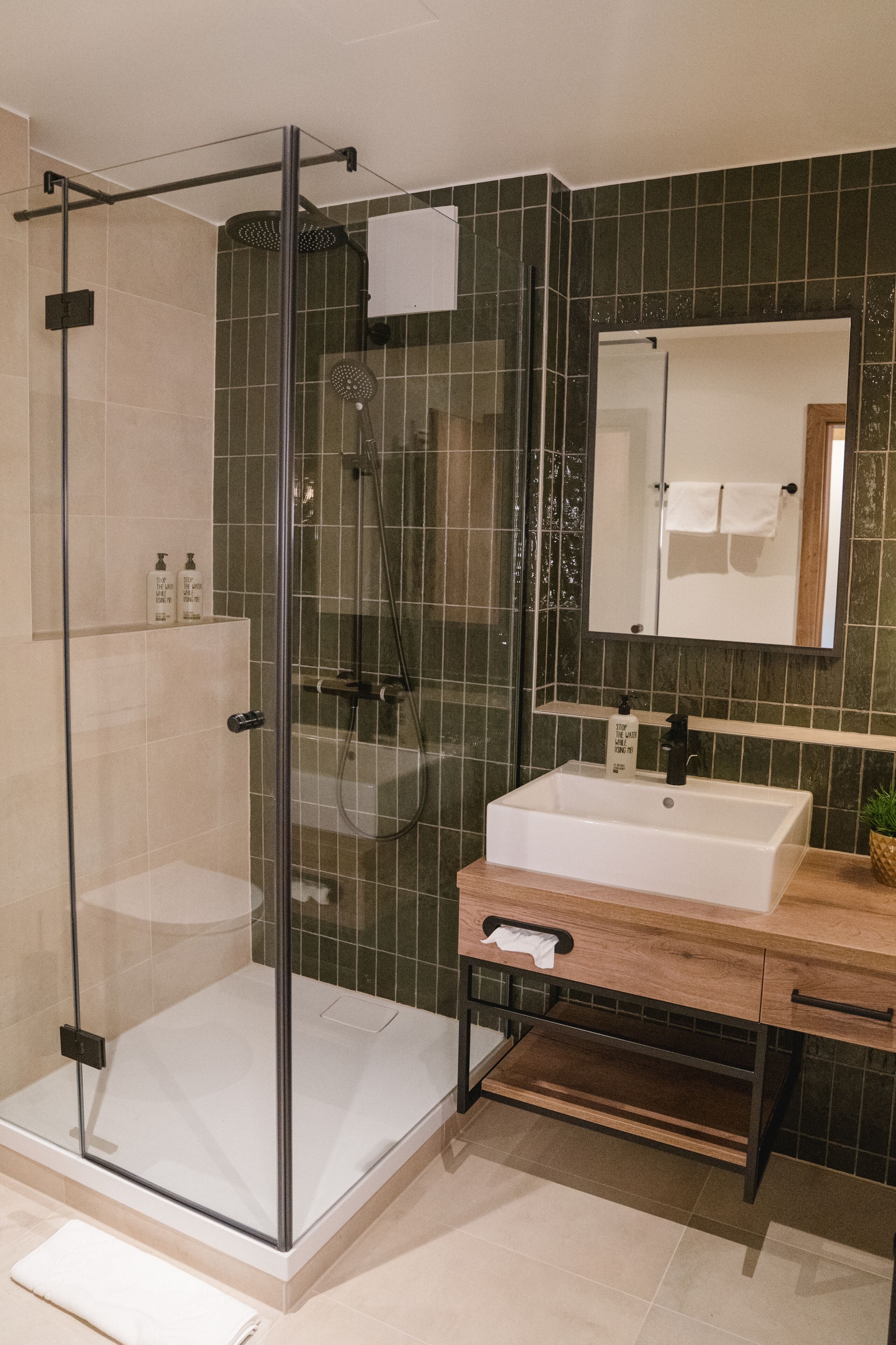 shower, free toiletries, hair dryer, towels