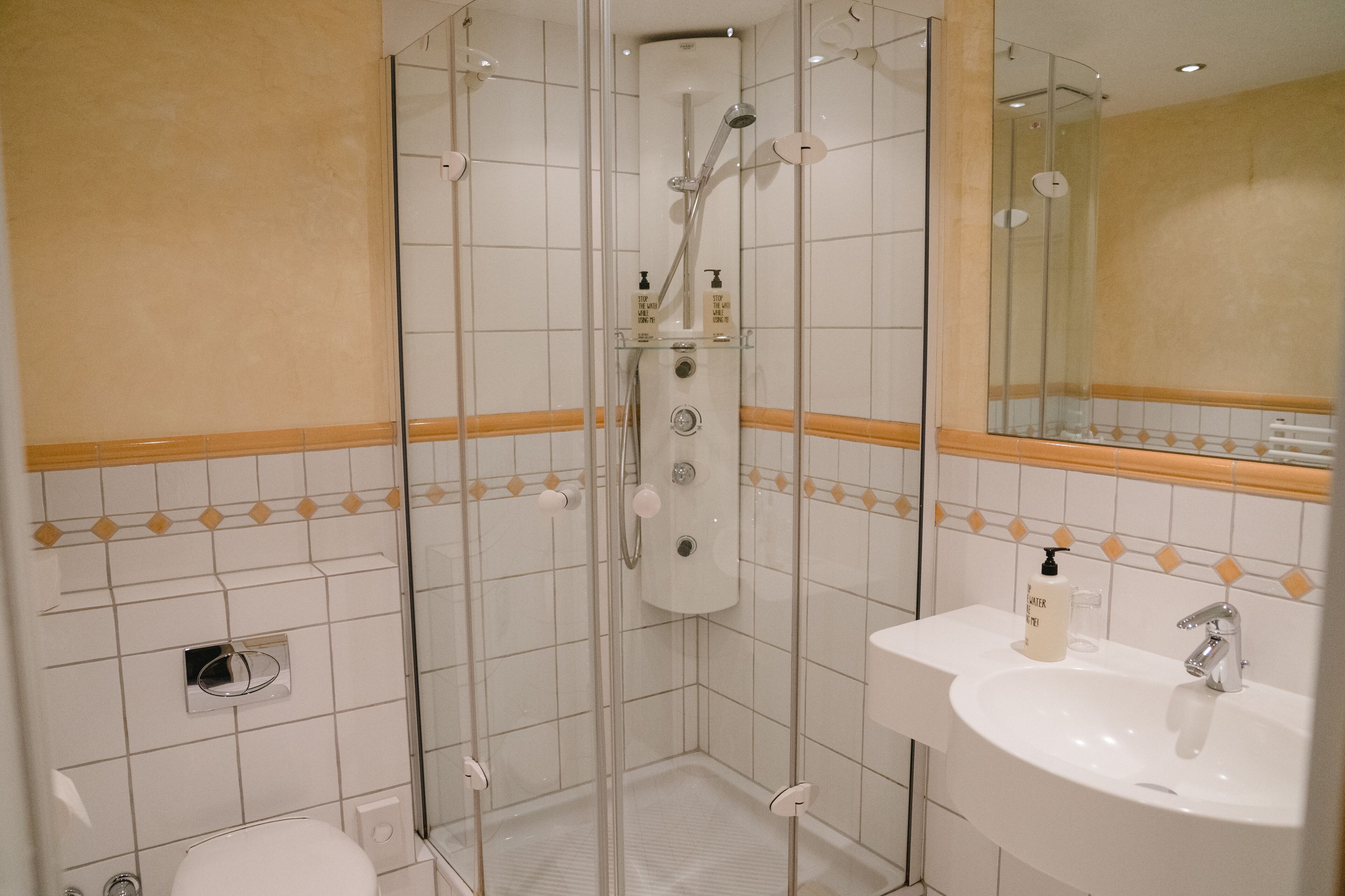 shower, free toiletries, hair dryer, towels