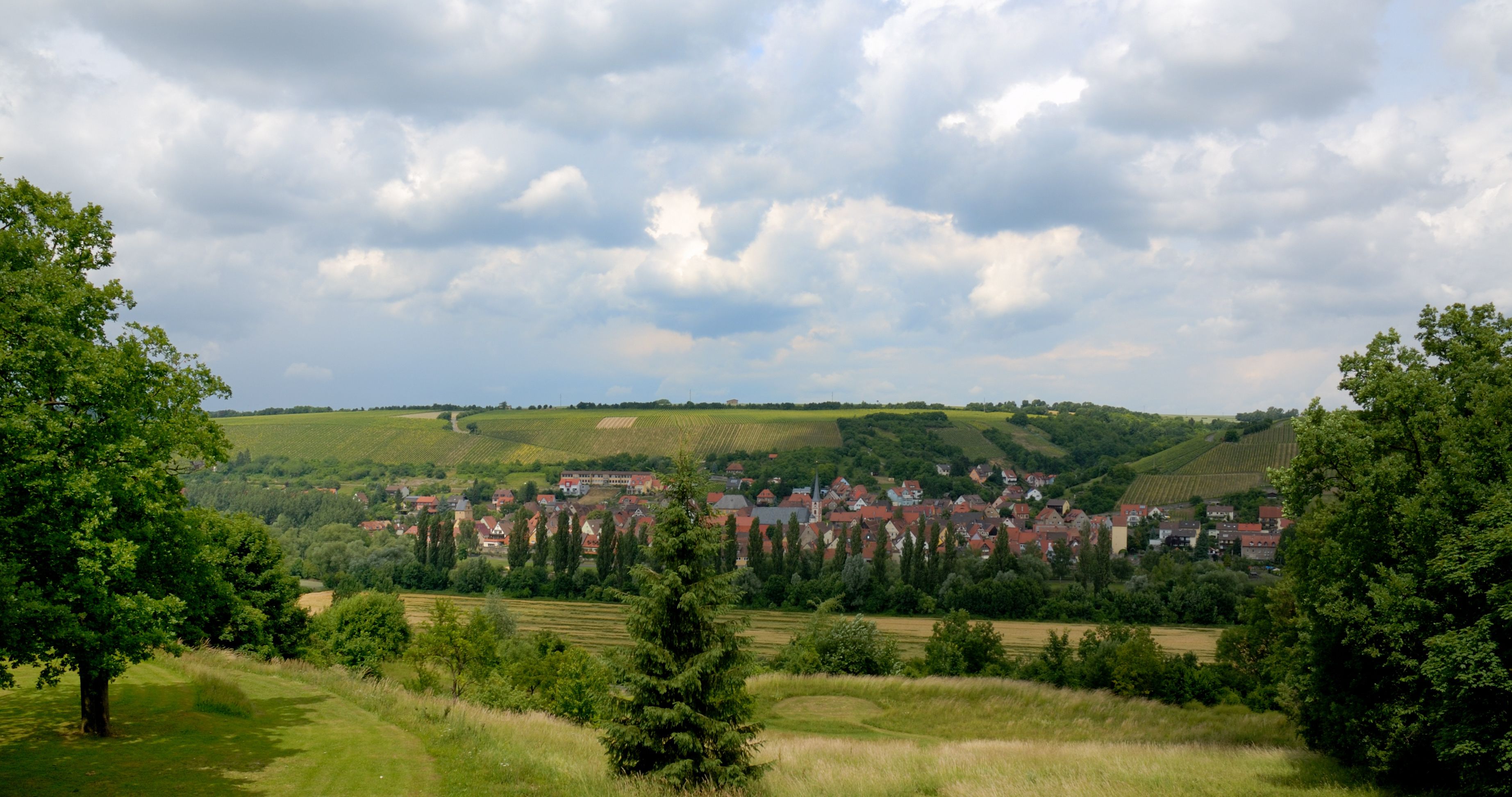 Een landelijk dorp met huizen en velden, onder een bewolkte lucht.