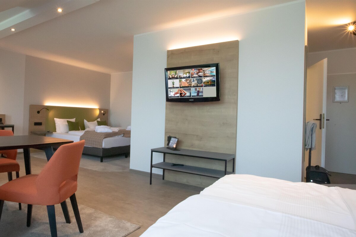 Standard Studio, 1 Double Bed (Larger Room;with Sofabed) | In-room safe, blackout curtains, cots/infant beds, rollaway beds