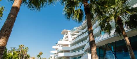 A cruise ship with multiple balconies, a pool area with sun loungers, and palm trees.