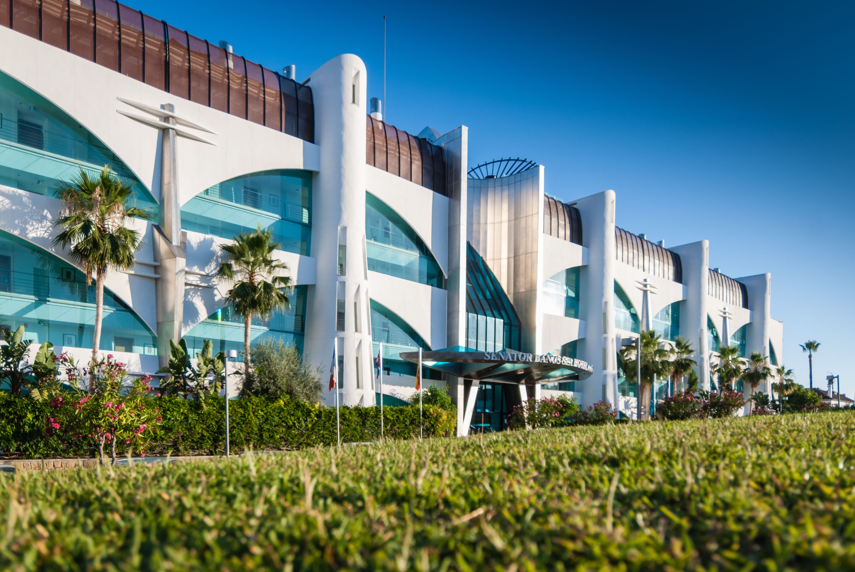 A modern hotel with a curved glass facade, palm trees, and a clear blue sky.