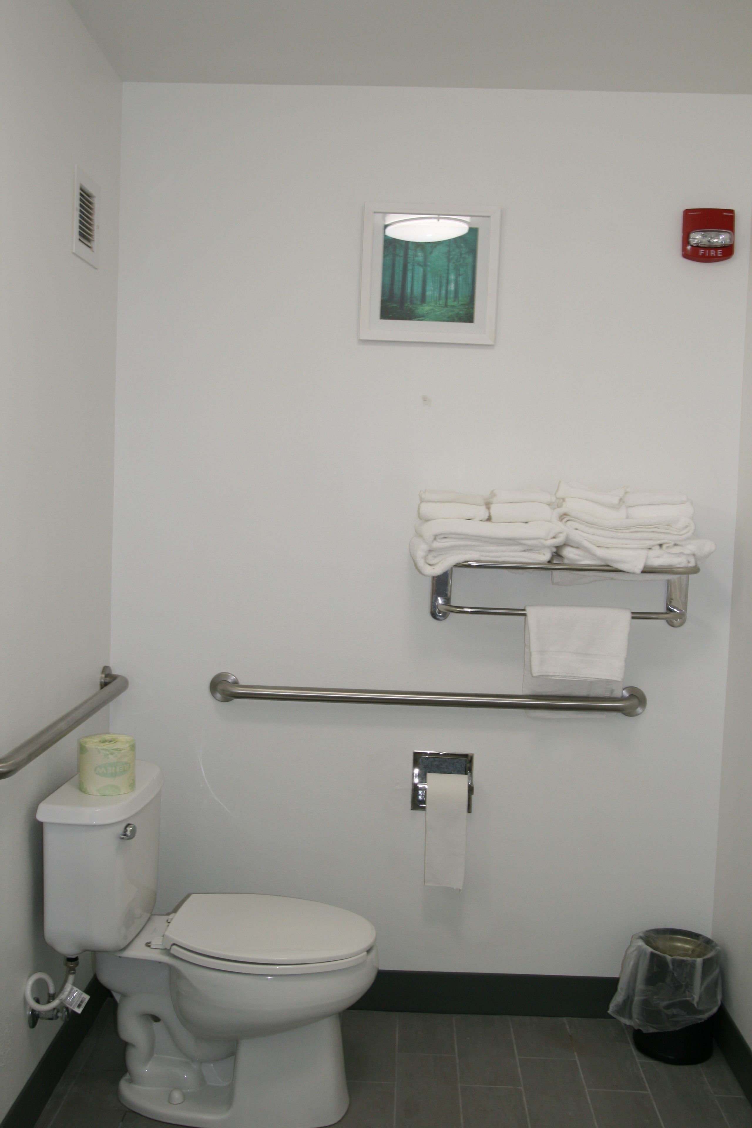 A small, clean bathroom with a toilet, handrails, a towel rack, and a fire alarm.