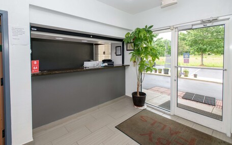 A reception area with a reception desk, a potted plant, and a door leading outside.