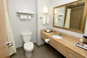 Un baño con inodoro, lavamanos y espejo.