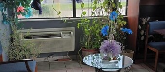 Sunshine Motel Near Atlantic City Airport