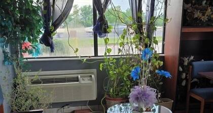 Sunshine Motel Near Atlantic City Airport