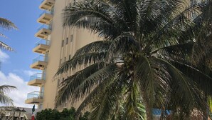 Ein hohes, beige Gebäude mit Balkonen, eine Palme im Vordergrund und ein Schild mit der Aufschrift 'Welcome to SAILIA Condominium'.