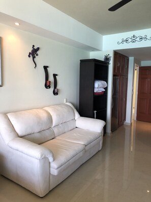32-inch flat-screen TV with satellite channels, TV