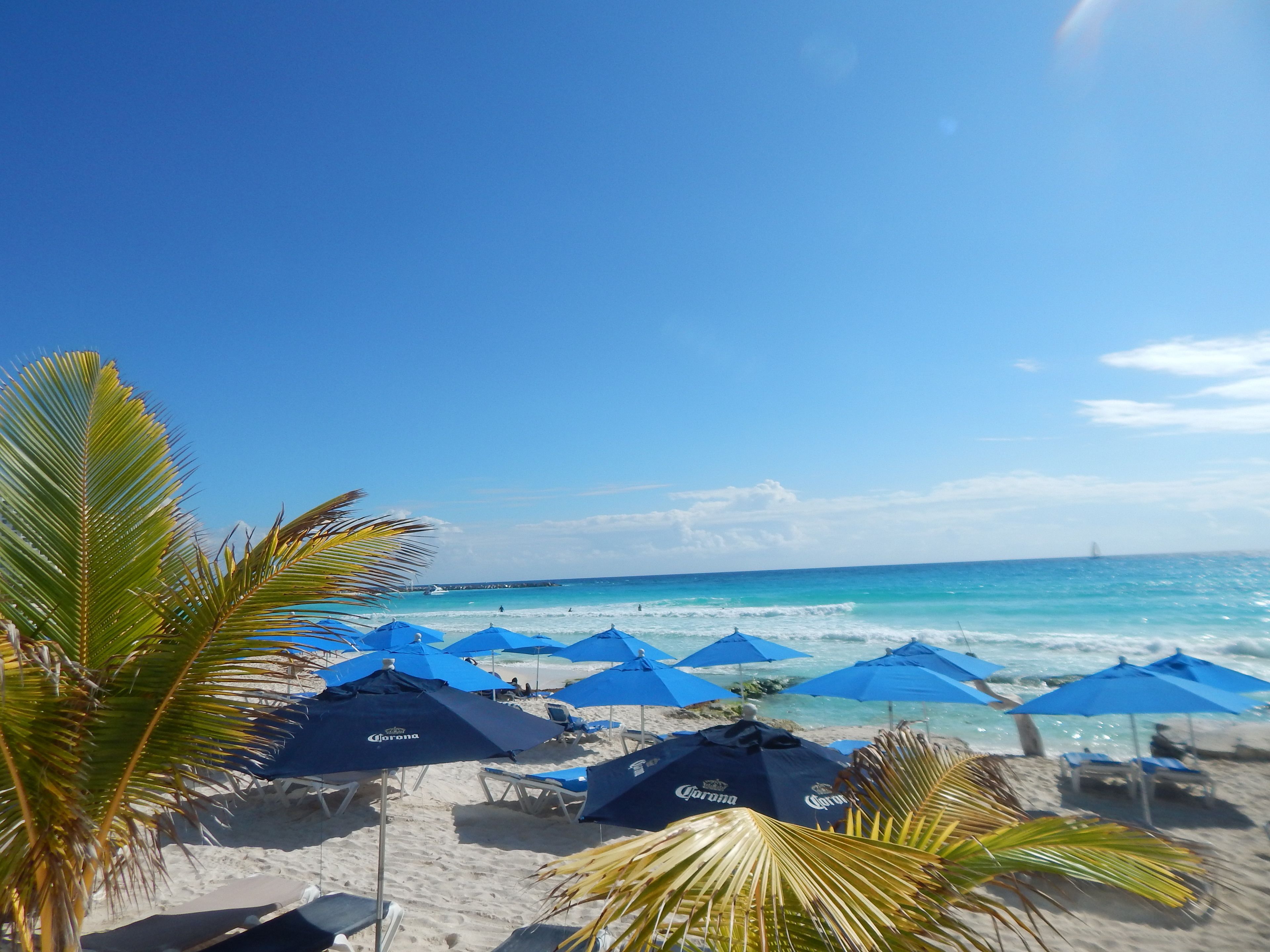 Een strand met blauwe parasols en palmbomen.