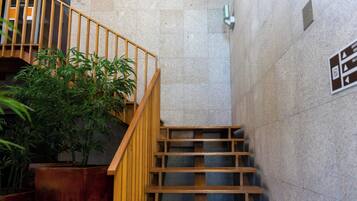 A staircase with wooden railings and a potted plant beside it.