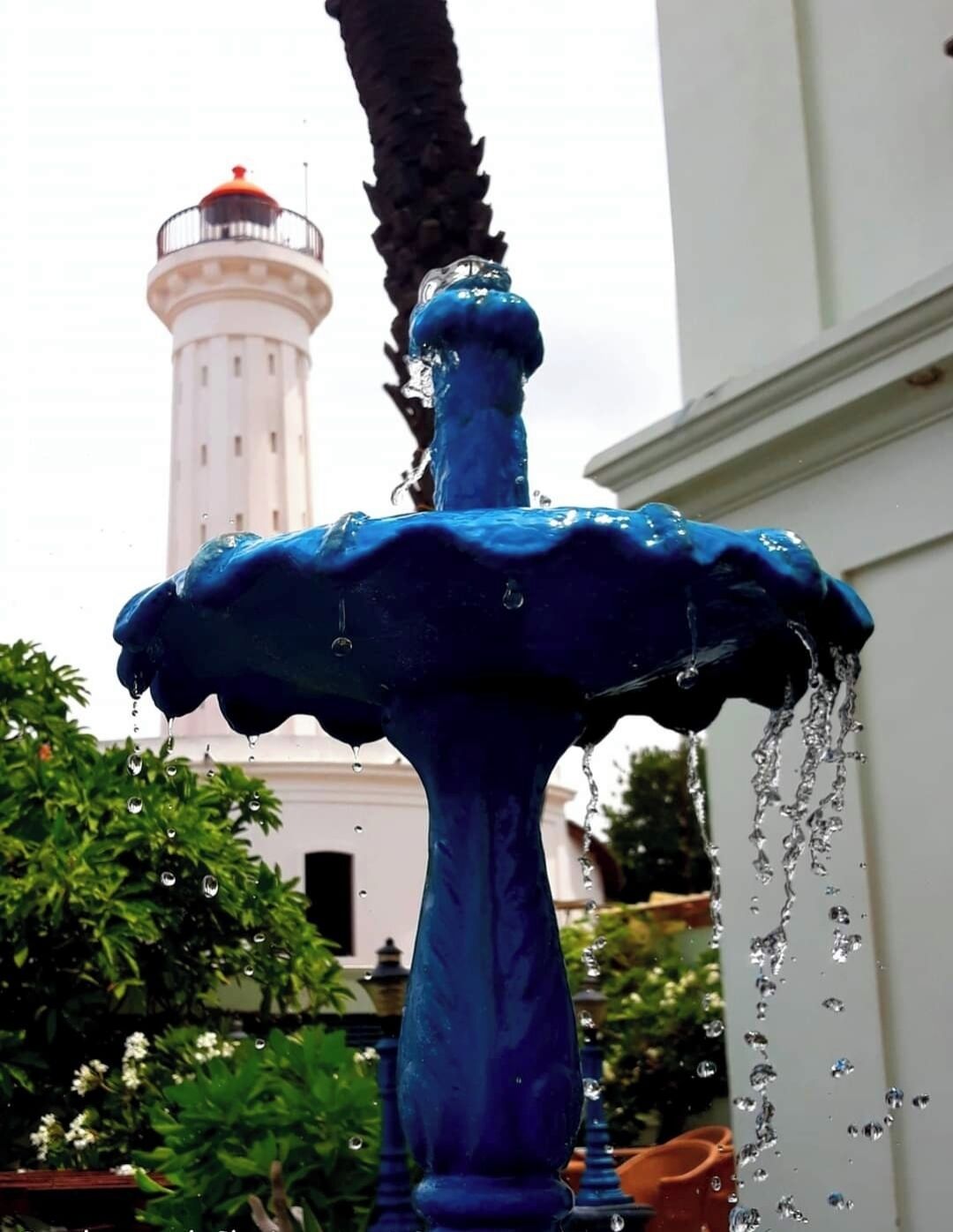 Una fuente azul con agua brotando de la parte superior, rodeada de follaje y un edificio blanco con una torre al fondo.