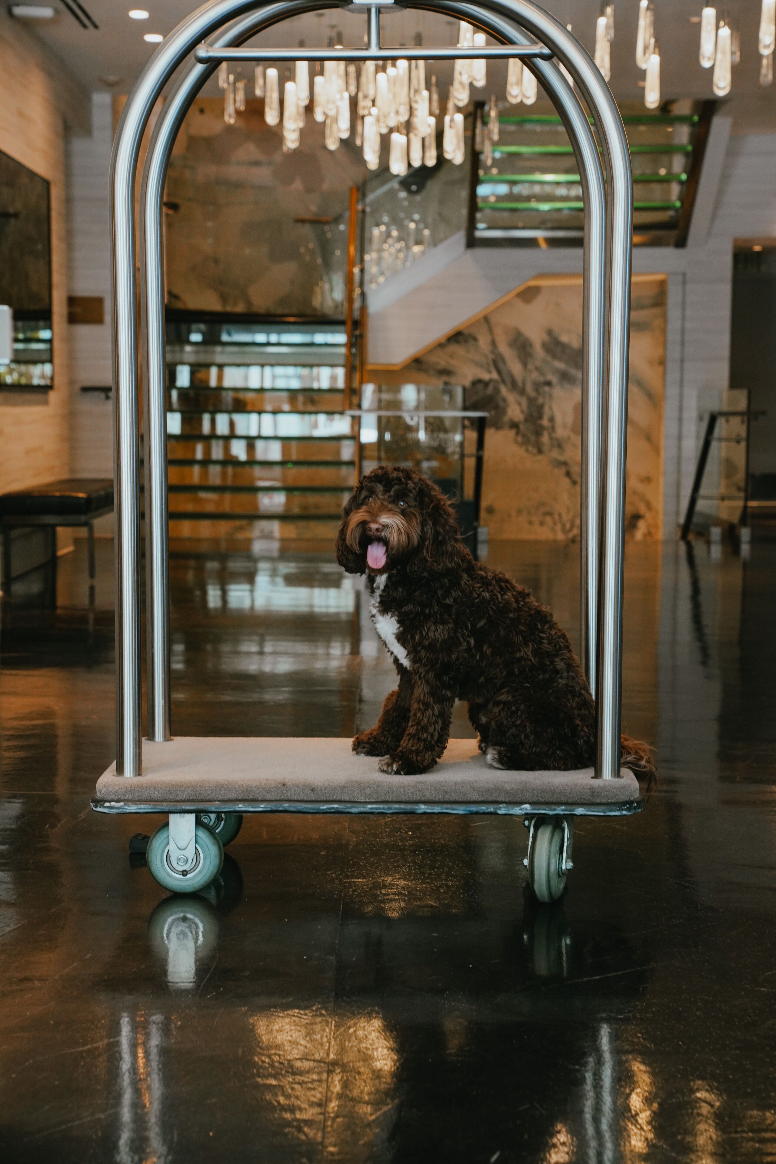 Foto - Hotel 1000, LXR Hotels & Resorts