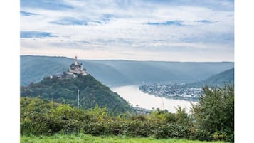 A castle on a hill overlooking a river and a town.
