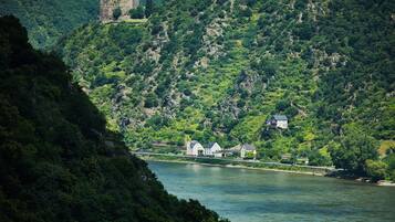 A riverside view with a castle and houses on a hillside.
