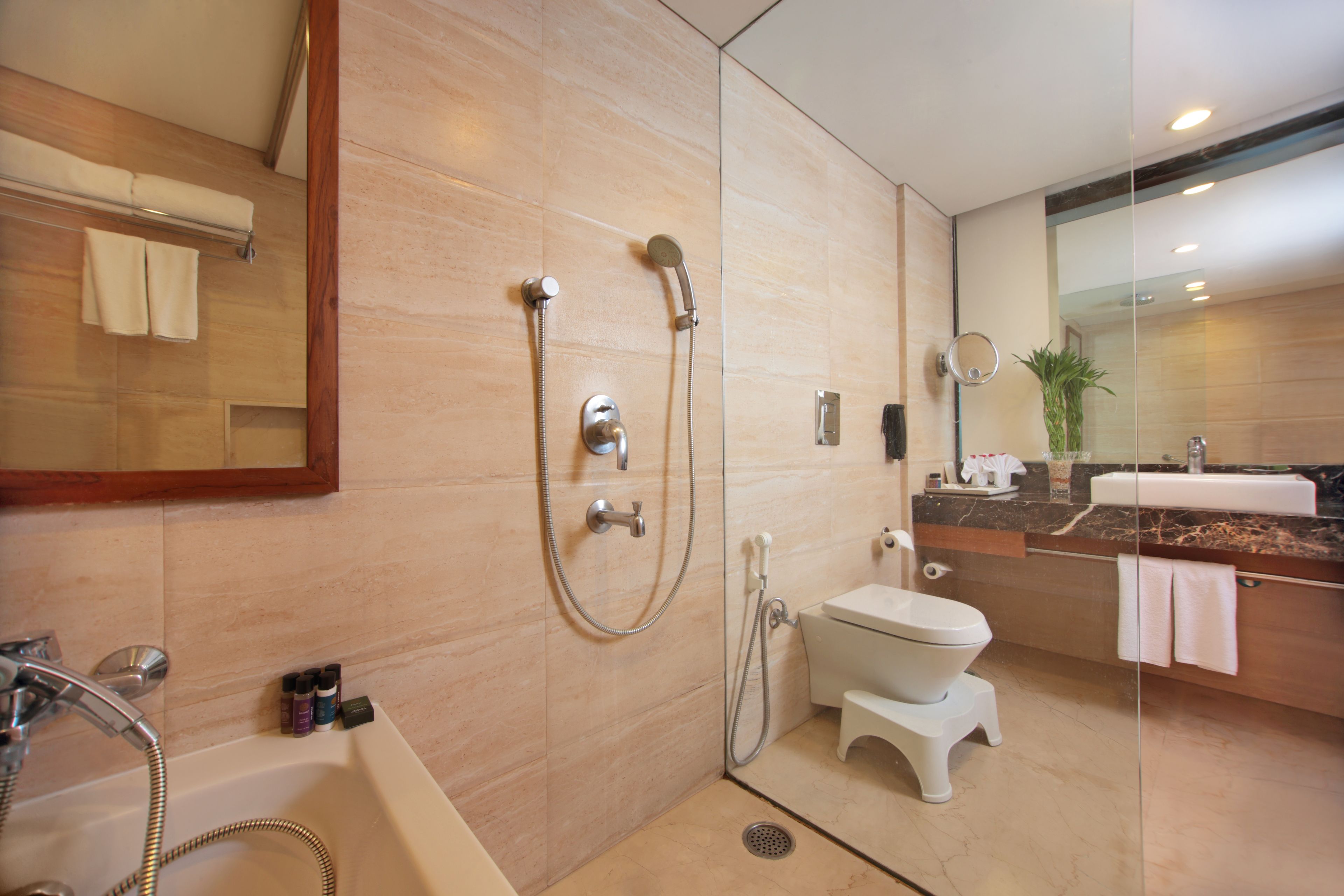 standard suite | bathroom amenities | combined shower/bathtub, free toiletries, hair dryer, bathrobes