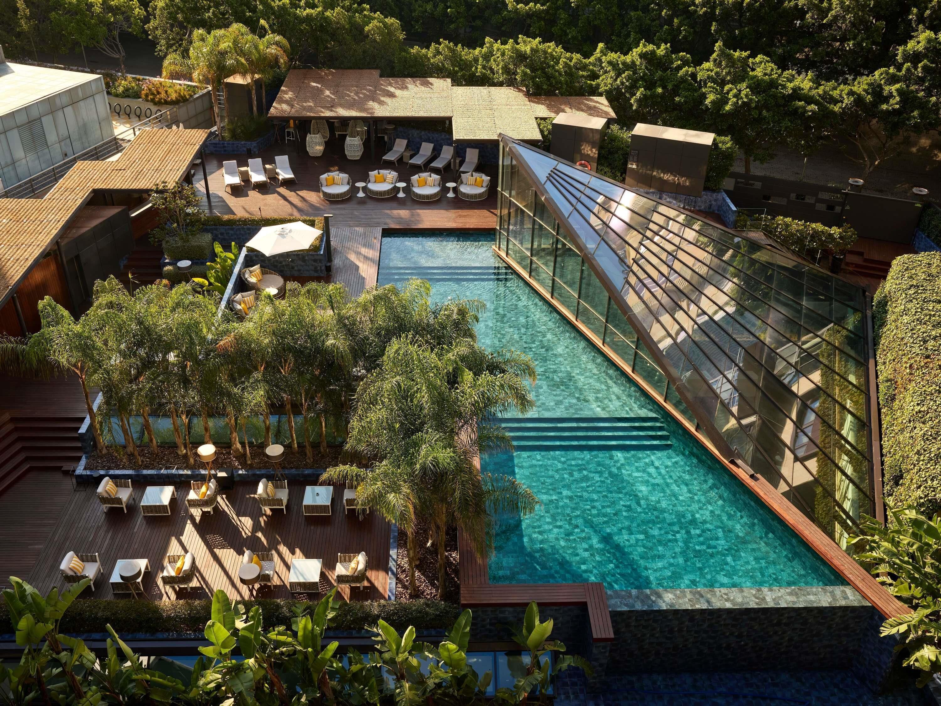 Outdoor pool, pool loungers