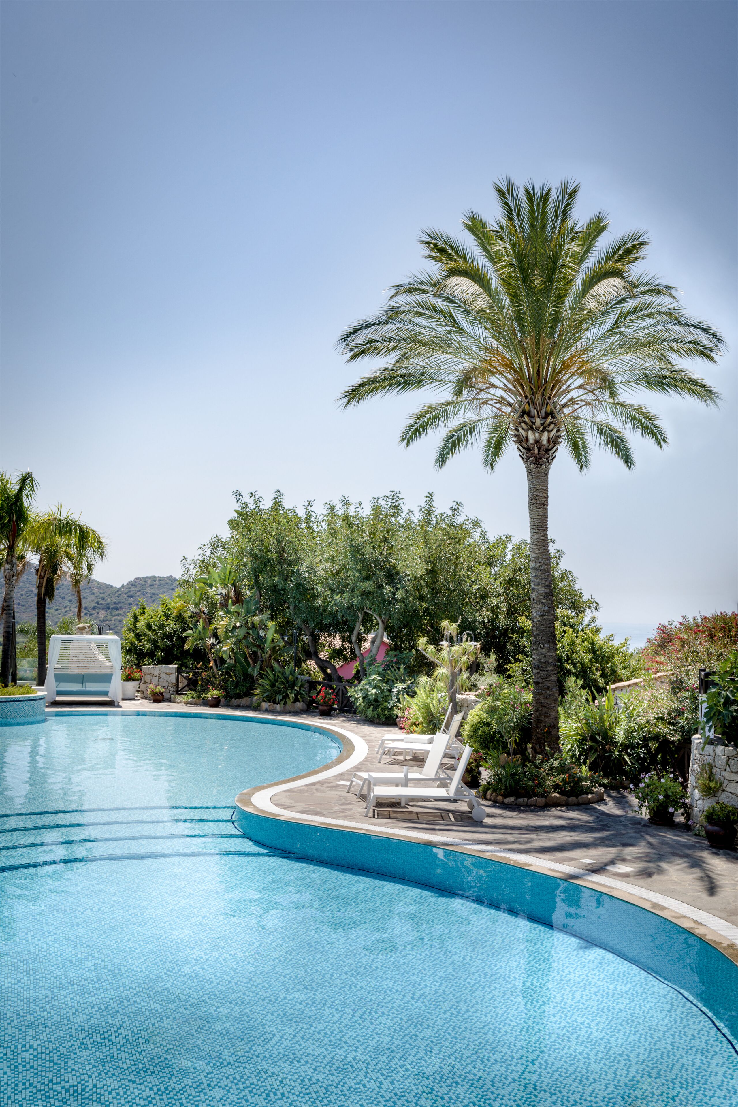 Una piscina con sdraio e una palma.