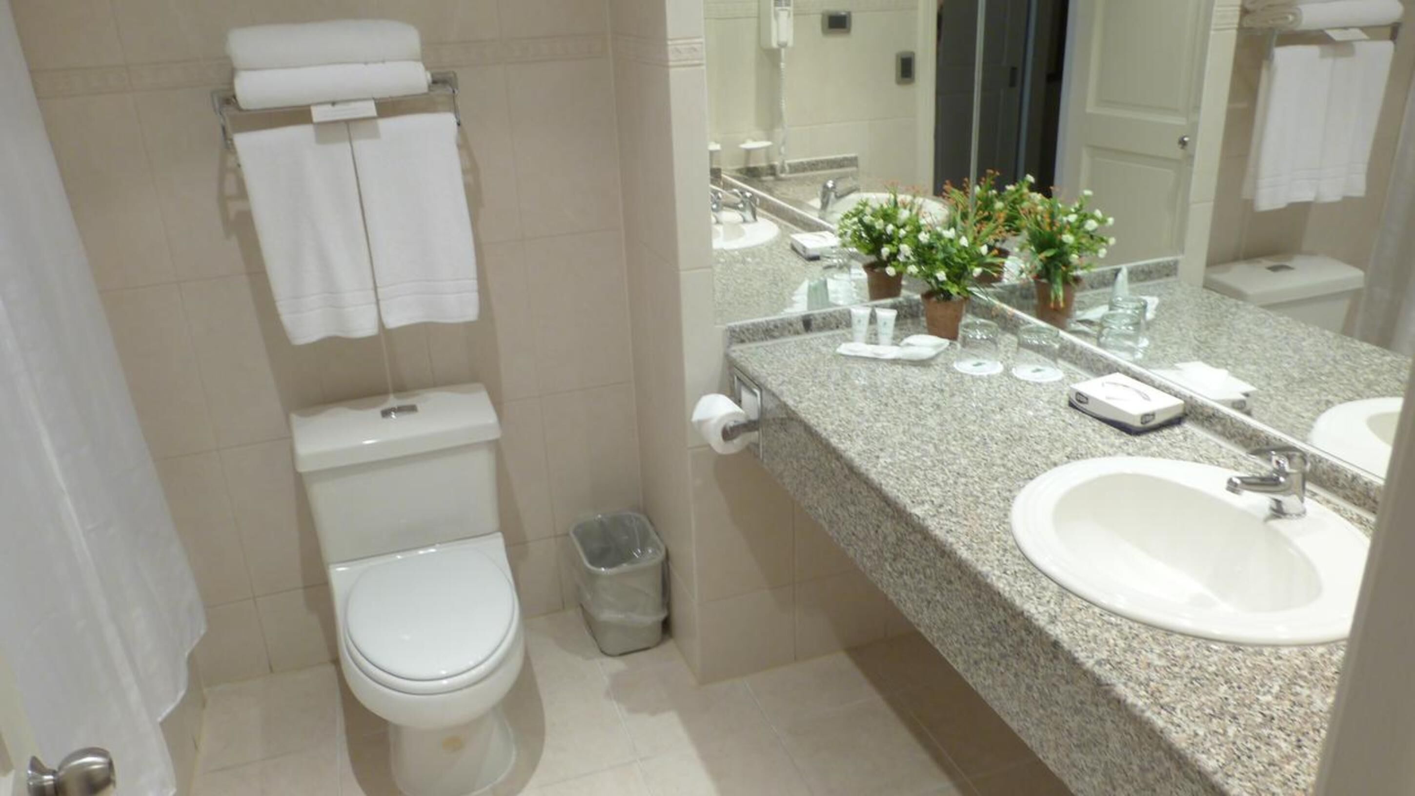 combined shower/bathtub, rainfall showerhead, free toiletries