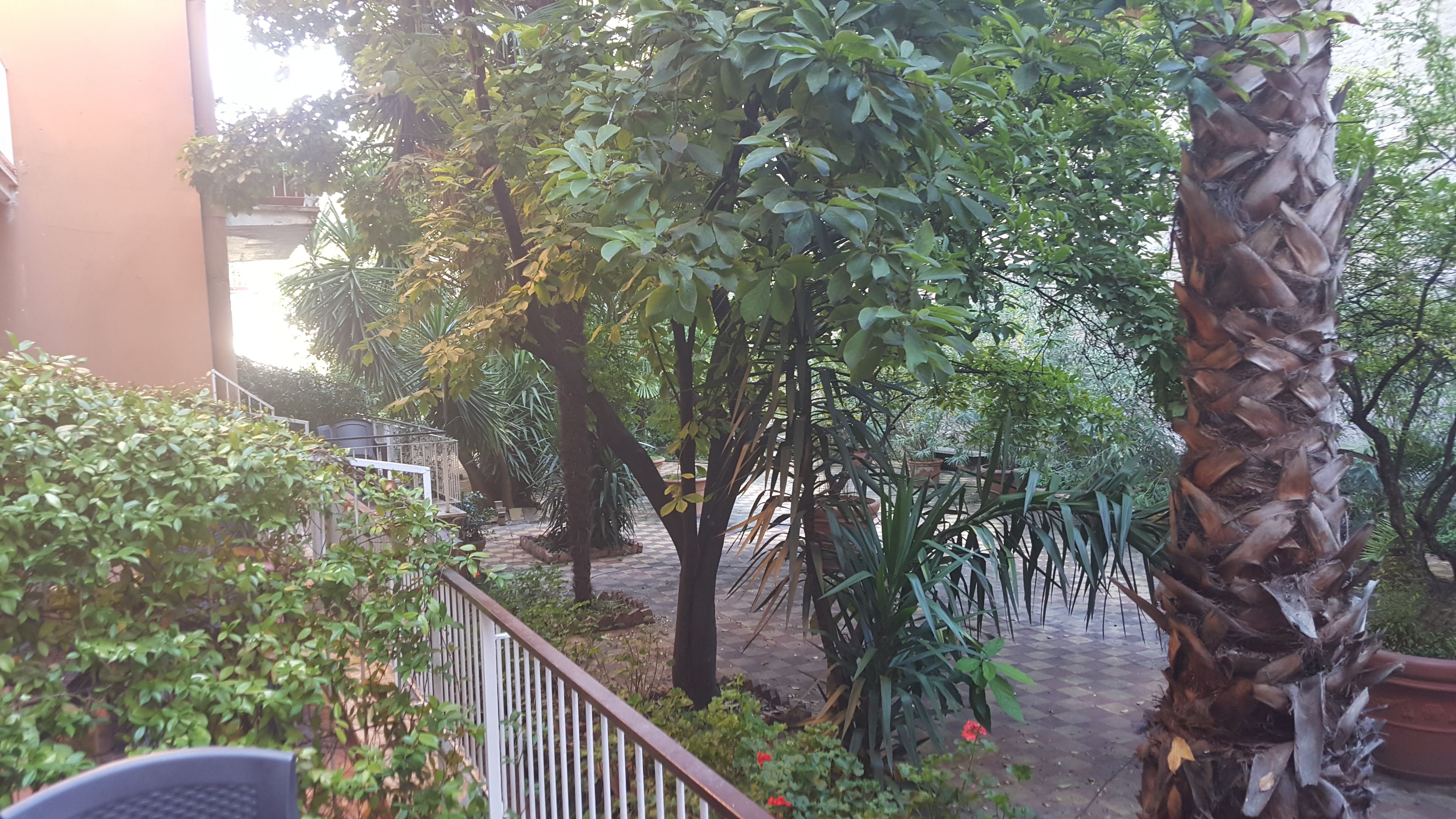  部屋からの景観