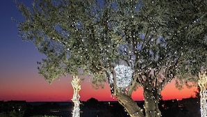An outdoor seating area with two chairs and a table, surrounded by decorative lights and a tree. - Hotel Lero (Dubrovnik)
