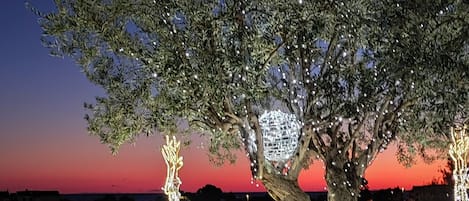 Un área de estar al aire libre con dos sillas y una mesa, rodeada de luces decorativas y un árbol.